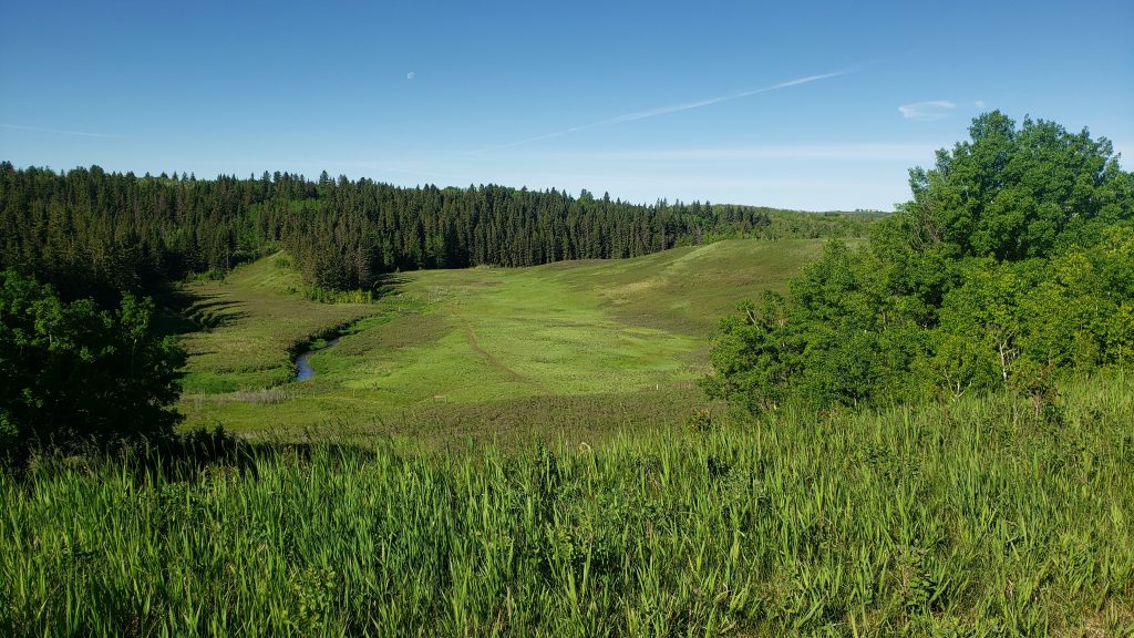Environmental Reserve Green Field - Calgary - Legacy
