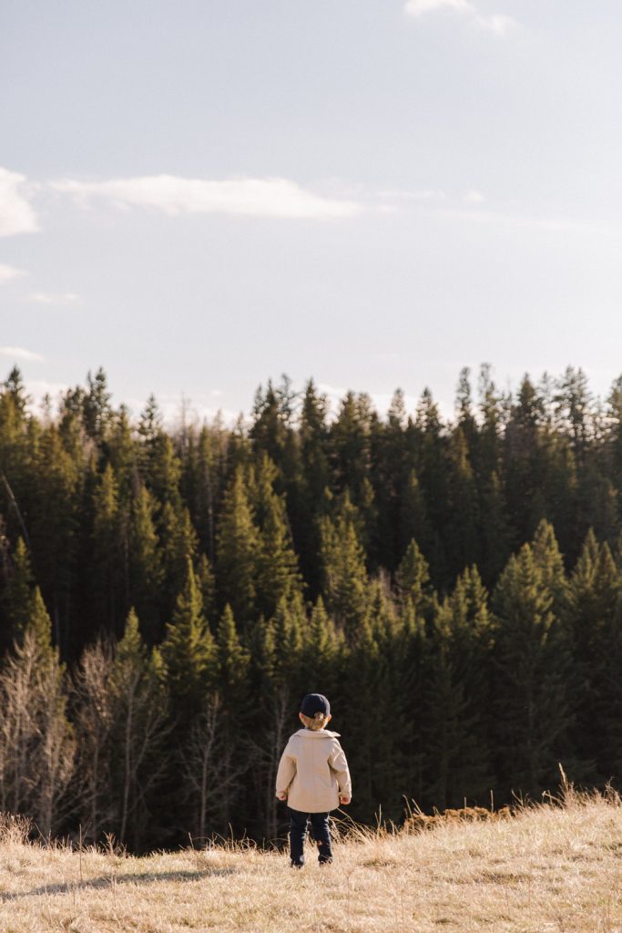 Environmental Reserve in Fall - Calgary - Legacy