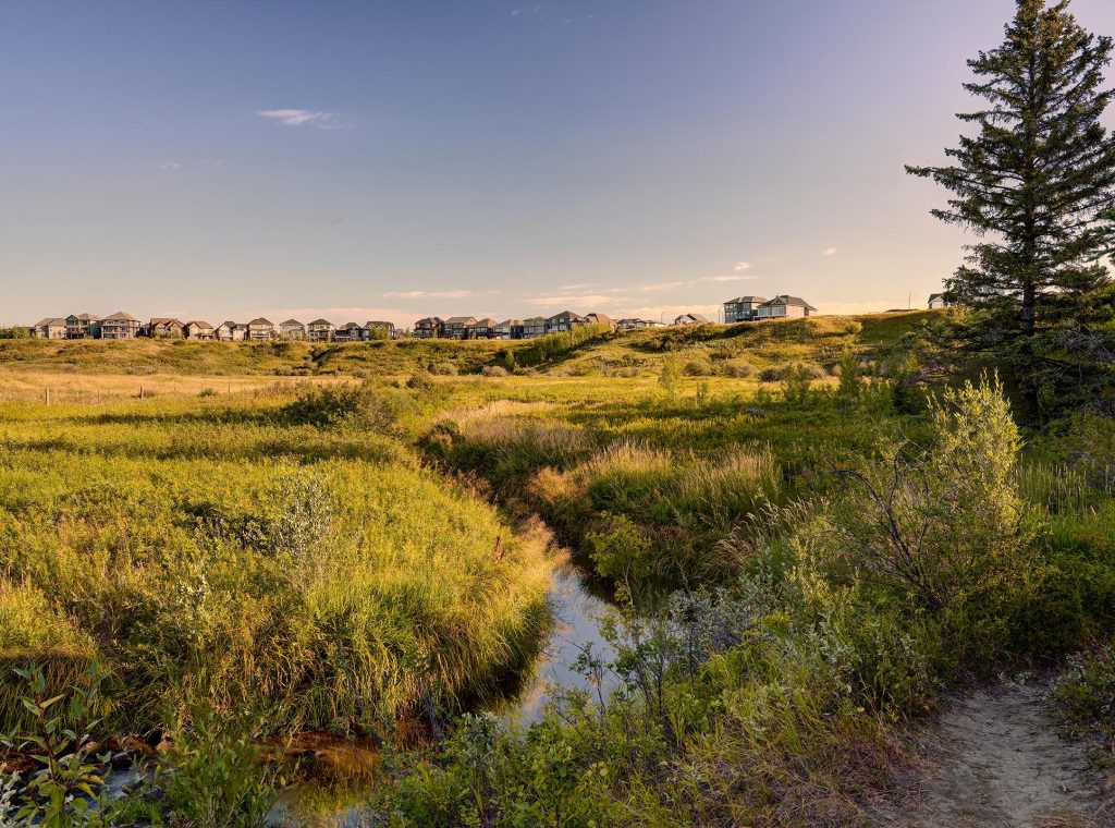 Legacy Environmental Reserve and Ridge - Calgary - Legacy