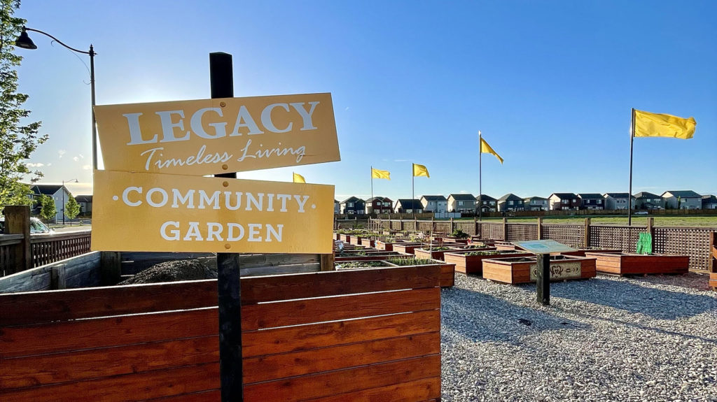 Legacy Community Gardel - Calgary - Legacy