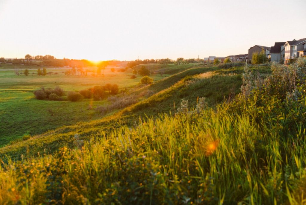 Environmental Reserve Fields - Calgary - Legacy