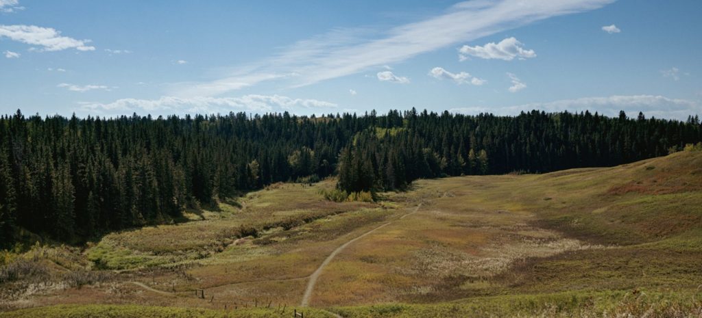 Environmental Reserve and Forest - Calgary - Legacy